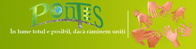 Banner Pontes